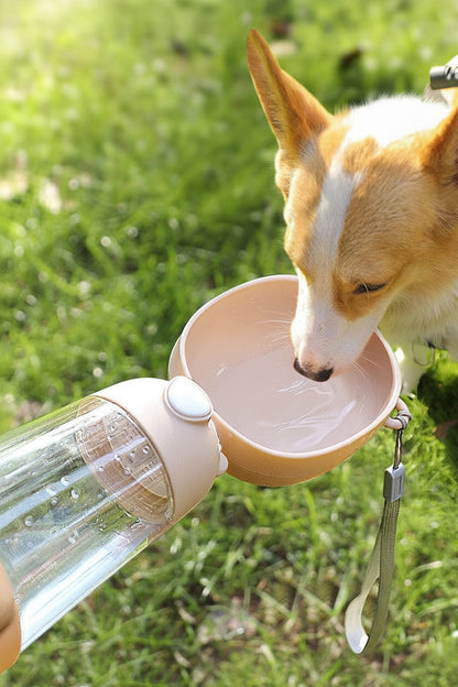 Dog Water Bottle